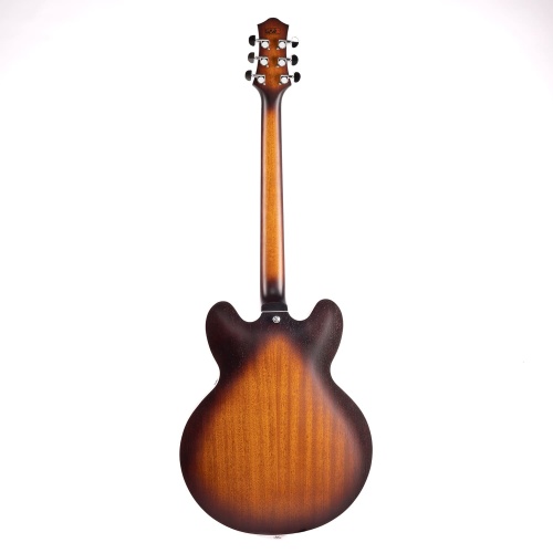 EART E-335 Brown Sunburst фото 2